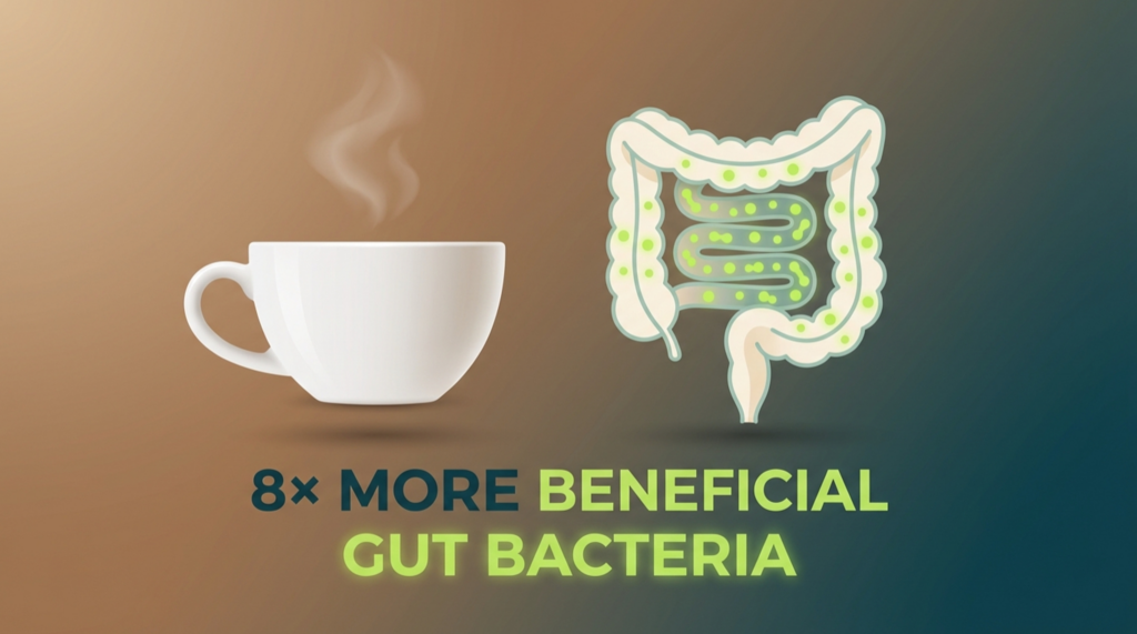 coffee gut bacteria