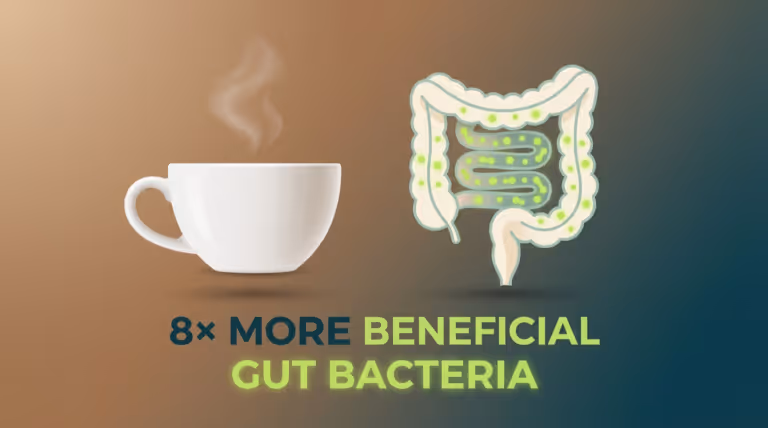 coffee gut bacteria