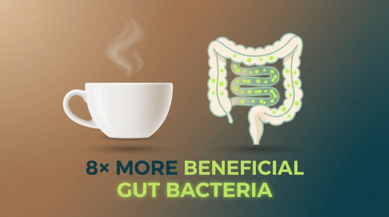 coffee gut bacteria