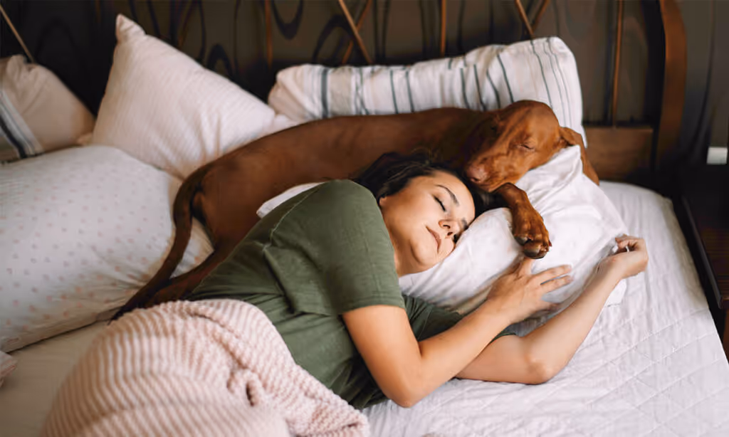 sleeping with your pet