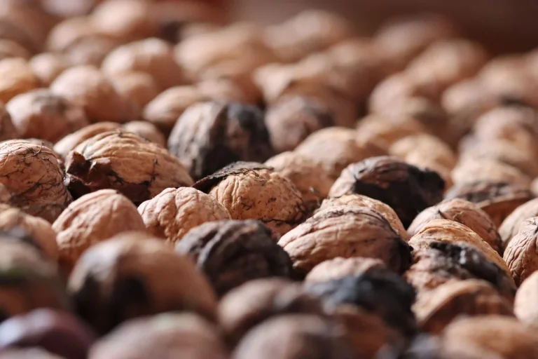 Bowl of fresh walnuts on wooden surface - walnuts are the only tree nut with significant ALA omega-3s, fiber and polyphenols that act as prebiotics for gut health