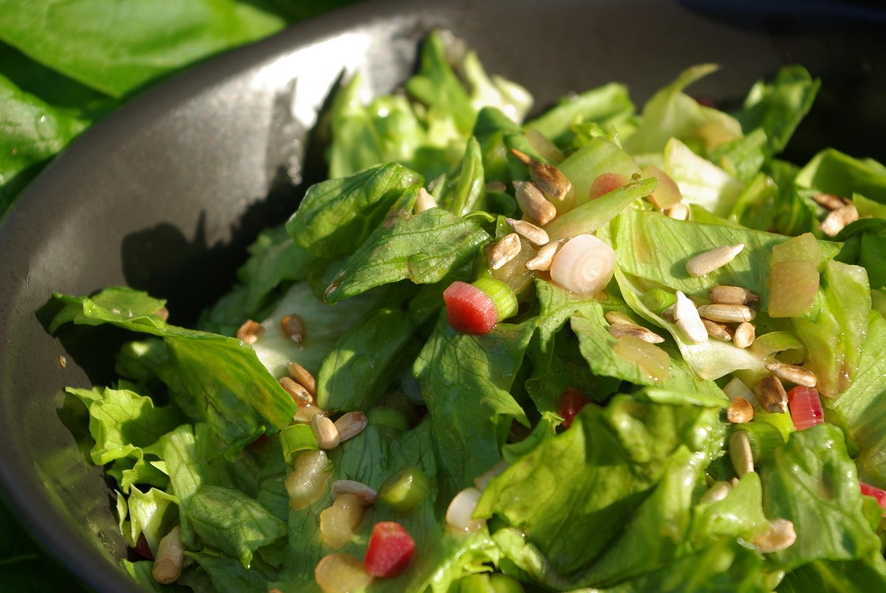A fresh salad with rhubarb, vegetables, and seeds on a plate — representing a heart-healthy dinner choice for managing cholesterol in the evening