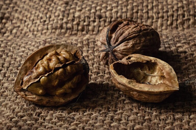 Close-up of walnuts, a key component of the MIND brain healthy diet rich in polyphenols and omega-3s for cognitive health