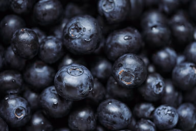 Fresh ripe blueberries in a white bowl, representing a fiber-rich food that supports healthy bowel habits and digestive wellness