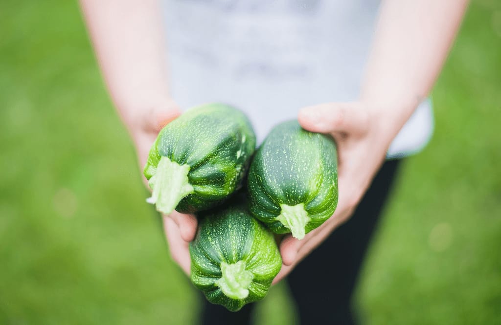 Fresh green zucchinis on a surface, the key ingredient for healthy zucchini oatmeal cups breakfast recipe
