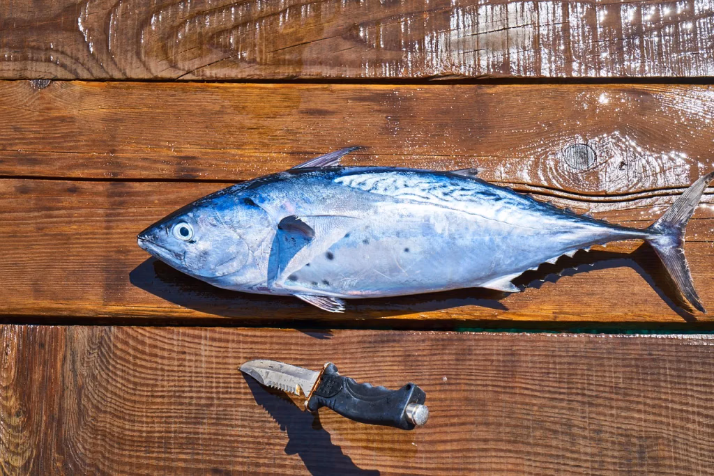 Fresh raw whole fish on a wooden cutting board with herbs, representing omega-3 fatty acid food sources that may help support skin health and reduce psoriasis inflammation