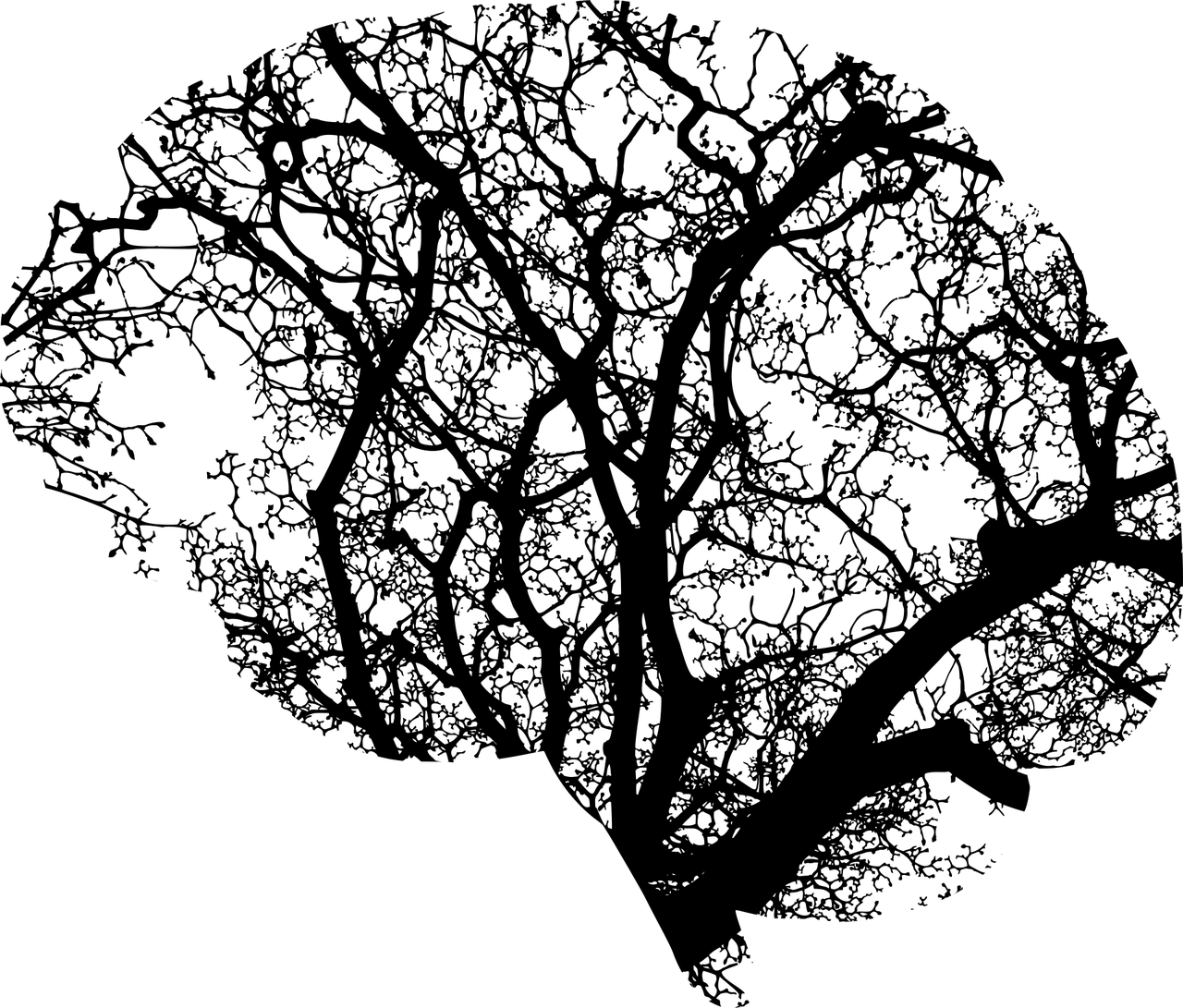 Stylized illustration of a human brain silhouette with branches resembling a tree, symbolizing cognitive reserve, neural connections, and the brain benefits of bilingualism and language learning.