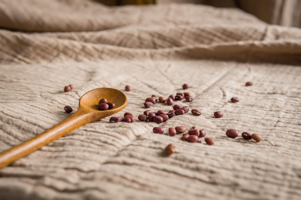 Red beans resting in a wooden spoon on a dark surface, showcasing a nutrient-dense plant-based source of non-heme iron for better iron absorption when paired with vitamin C-rich foods