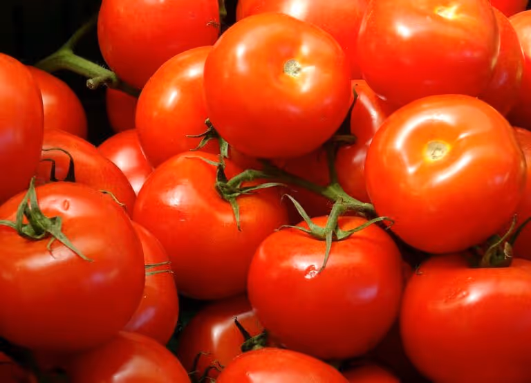Close-up of fresh ripe red tomatoes at a farmer's market, representing the best way to eat tomatoes for maximum lycopene absorption through cooking with fat
