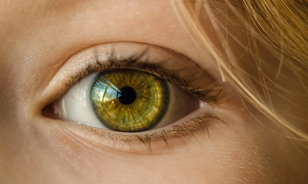 Close-up macro photograph of a human eye with green iris, eyelashes, and skin, representing vision health and the importance of regular vision screenings and eye exams
