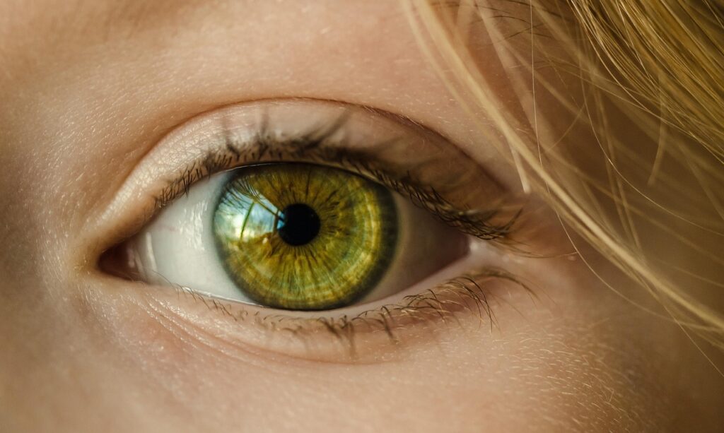 Close-up macro photograph of a human eye with green iris, eyelashes, and skin, representing vision health and the importance of regular vision screenings and eye exams