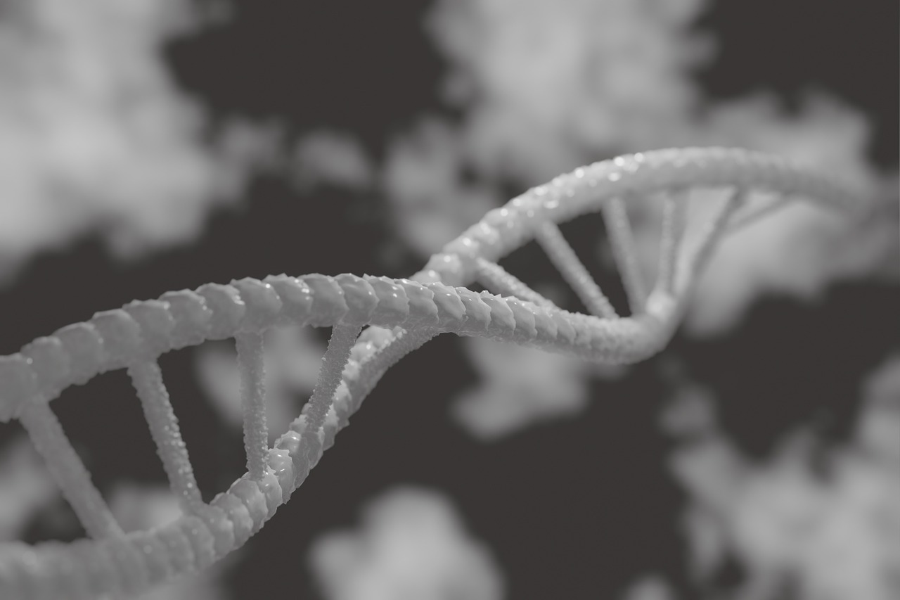 3D illustration of a DNA double helix representing the landmark genetic study of 2.8 million people that identified IBS genetic causes and the gut-brain connection