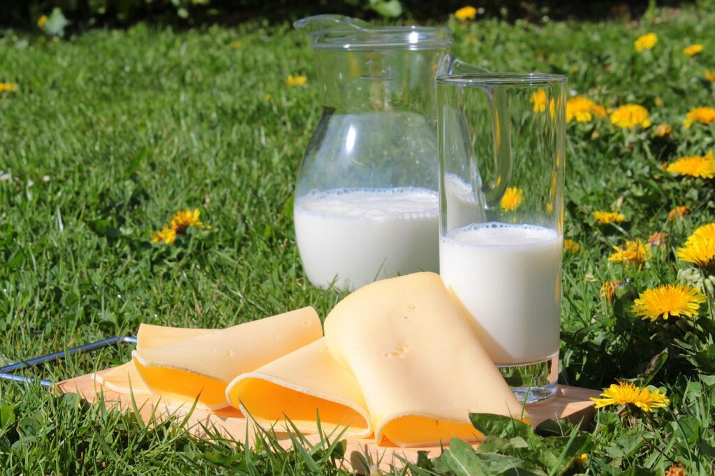 A wooden cutting board with an assortment of sliced yellow cheeses and a glass bottle of milk, representing high-protein cheese options like cheddar, Swiss, and Gouda for a nutritious diet