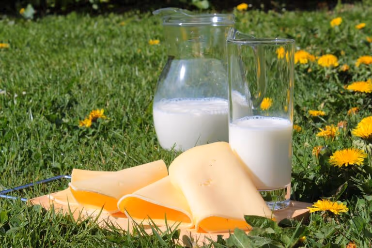 A wooden cutting board with an assortment of sliced yellow cheeses and a glass bottle of milk, representing high-protein cheese options like cheddar, Swiss, and Gouda for a nutritious diet