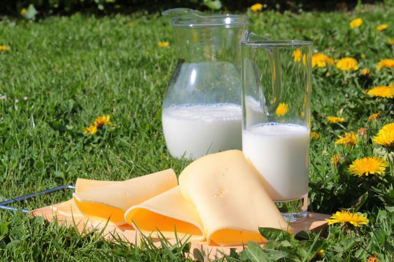 A wooden cutting board with an assortment of sliced yellow cheeses and a glass bottle of milk, representing high-protein cheese options like cheddar, Swiss, and Gouda for a nutritious diet