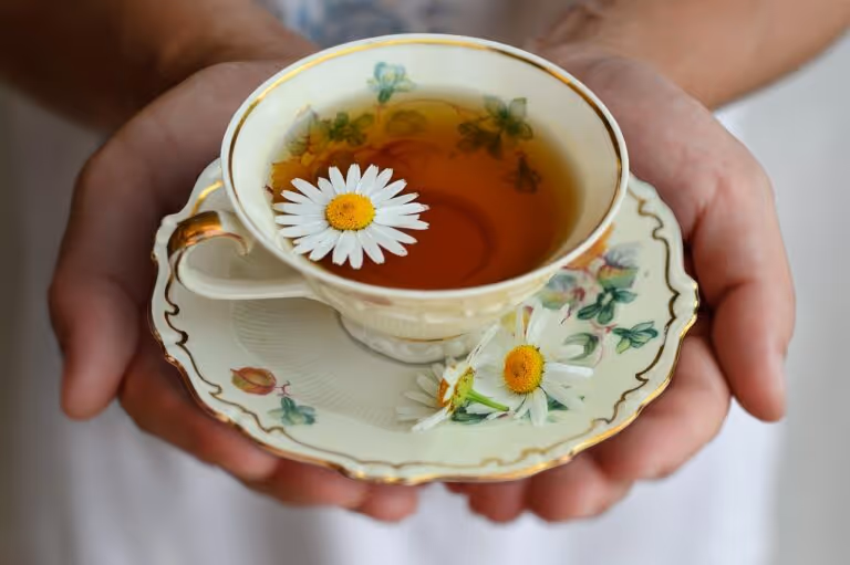 A warm cup of chamomile tea with chamomile flowers on a ceramic saucer, creating a calming evening mood for relaxation and sleep