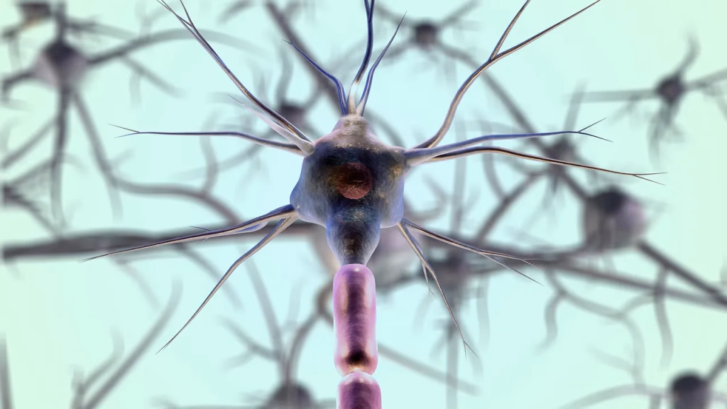 Close-up scientific illustration of neurons (brain cells) with glowing purple and blue connections, representing the brain's neural network and the spread of the Arc protein in Alzheimer's disease