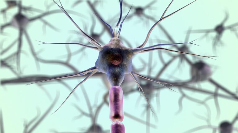 Close-up scientific illustration of neurons (brain cells) with glowing purple and blue connections, representing the brain's neural network and the spread of the Arc protein in Alzheimer's disease