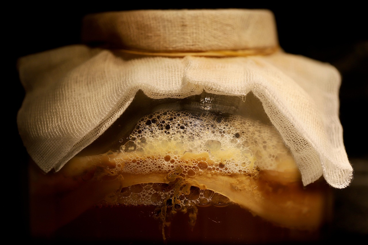 Close-up of a kombucha SCOBY fermenting in a glass jar with tea liquid, showing the best tea for kombucha brewing