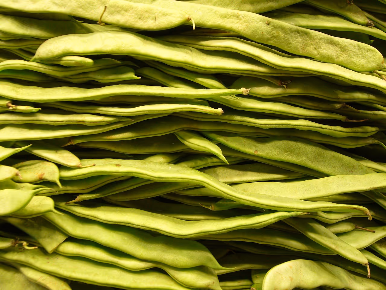 A pile of fresh green beans on a dark surface, representing high-fiber vegetables that are rich in dietary fiber for digestive health and wellness.