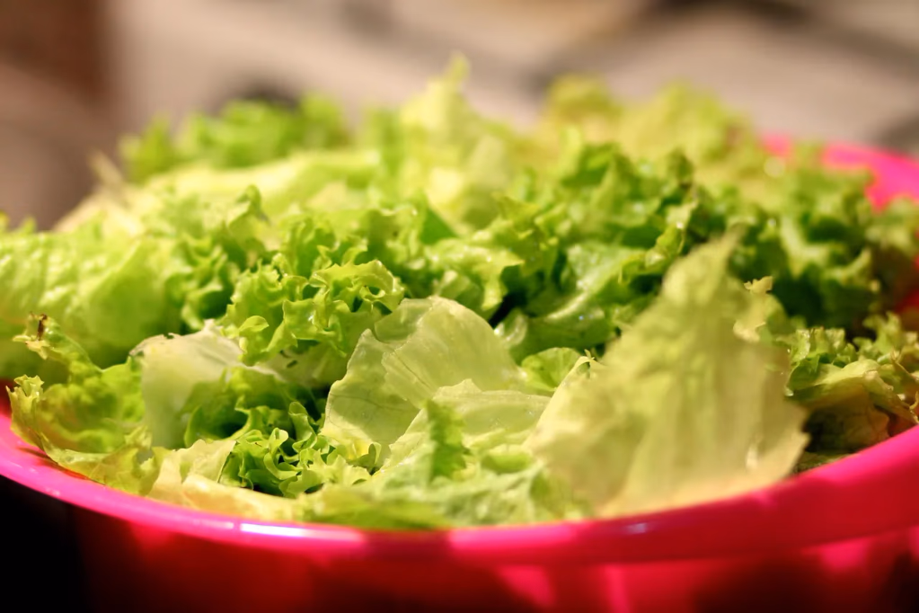 Fresh green lettuce leaves on a dark background, representing produce that may be linked to the 2026 cyclospora outbreak