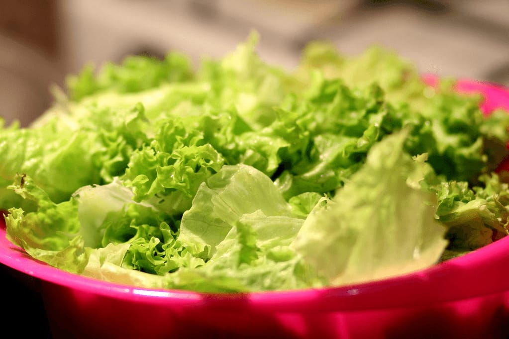 Fresh green lettuce leaves on a dark background, representing produce that may be linked to the 2026 cyclospora outbreak
