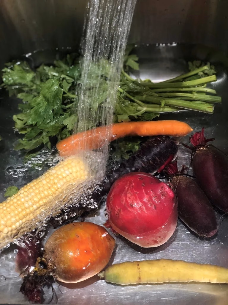 Hands washing fresh colorful vegetables under running water in a kitchen sink, highlighting food safety and produce washing to prevent cyclospora infection