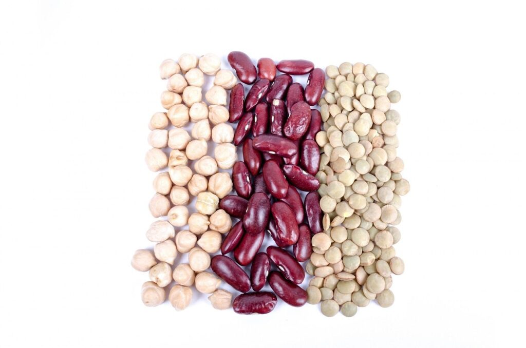 plant protein for gut health